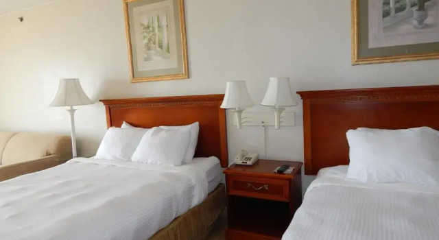 Номер Standard с видом на залив Paradise Plaza Inn