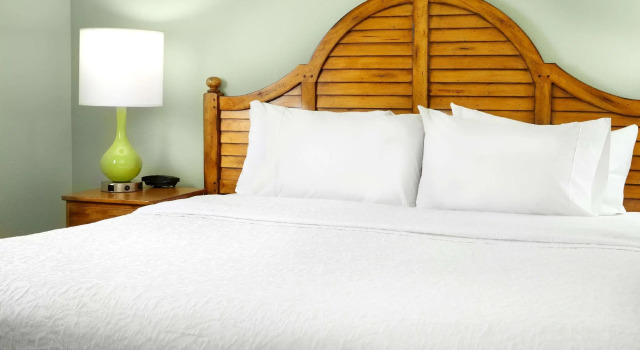 Двухместный номер Hampton Inn & Suites Savannah/Midtown