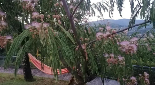 Коттедж Casina in pietra