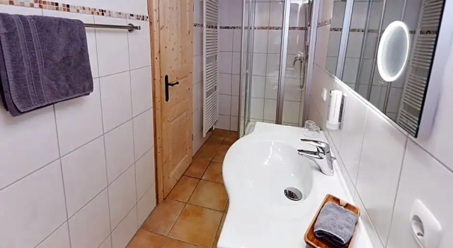 Люкс Standard Alpenhotel Dora