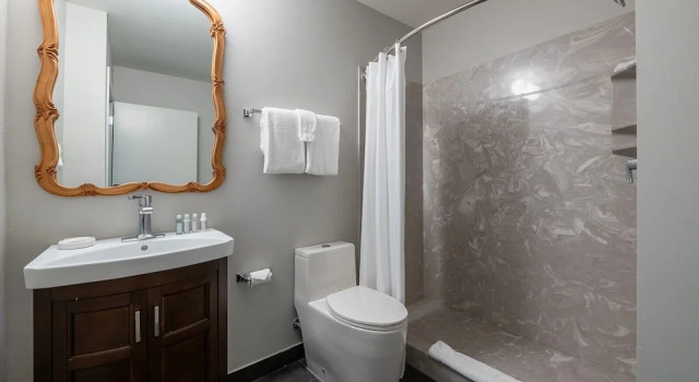 Двухместный люкс с видом на внутренний двор New Orleans Courtyard Hotel by the French Quarter
