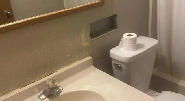 Четырёхместный номер Standard Coldwater Inn & Suites near I 69