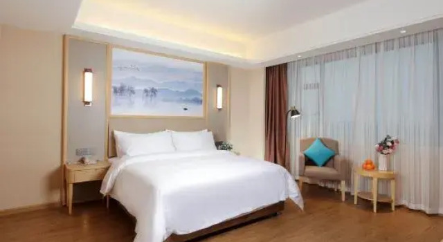 Люкс Deluxe c 1 комнатой Vienna International Hotel (Yueyang South Station)