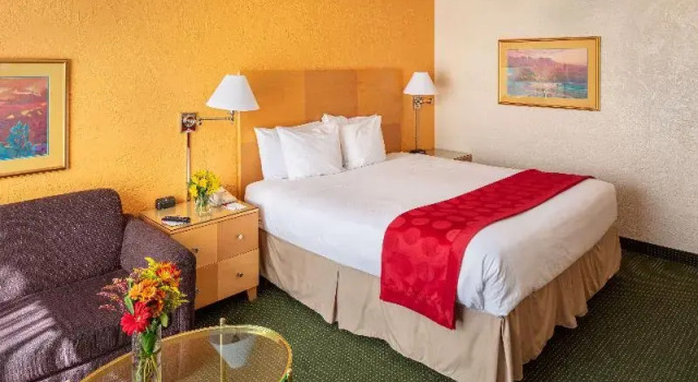 Standard Kahden hengen huone parvekkeella The Arizona Riverpark Inn
