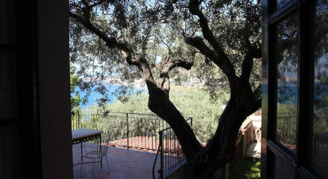 Люкс с балконом Villa degli Ulivi