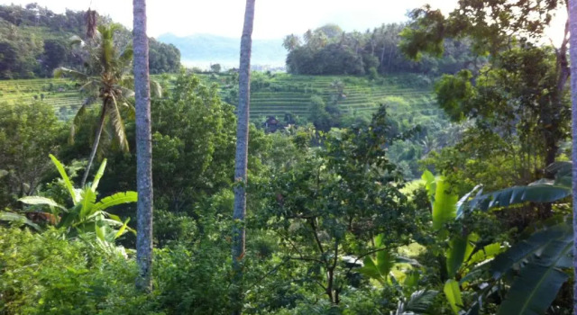Pondok Alam Bukit