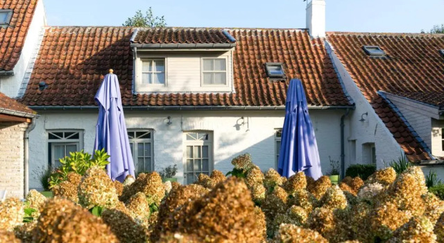 Люкс Deluxe Country House Duinhof