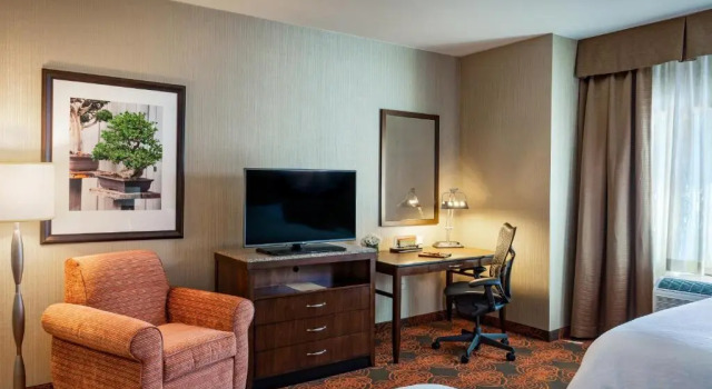 Двухместный HEARING ACCESSIBLE номер Hilton Garden Inn Seattle Downtown