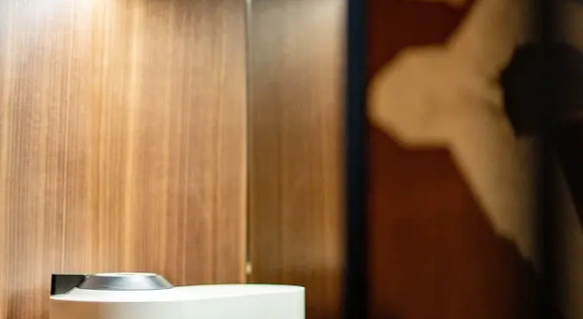 Номер Premium Vignette Collection Shanghai Snow World Hotel by IHG