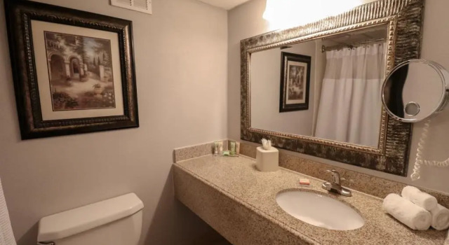 Двухместный номер Executive Wyndham Houston near NRG Park - Medical Center