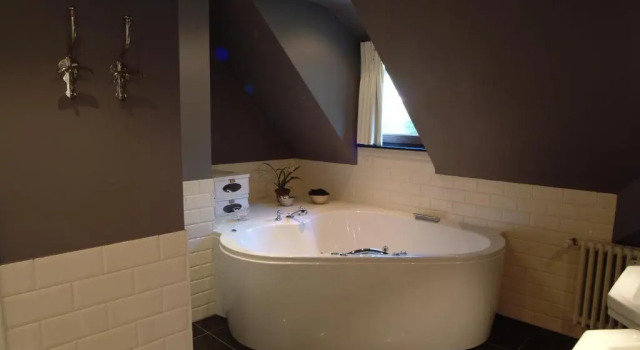 Номер Deluxe Charmehotel Manoir Ogygia