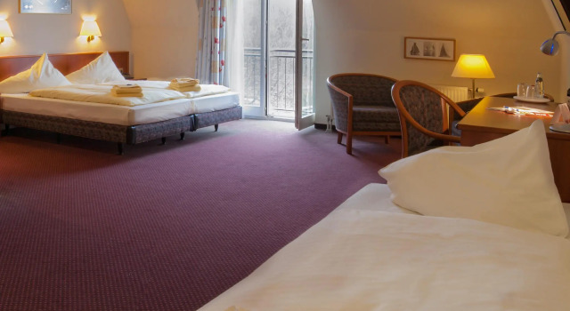 Трёхместный номер Standard Seehotel Brandenburg an der Havel