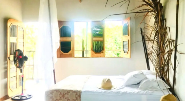 Номер Standard Palomino Hostel