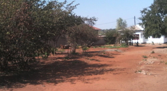 Ubuntu humanity Trust