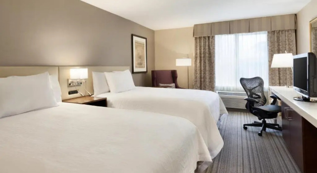 Четырёхместный номер Premium Hilton Garden Inn Seattle/Renton