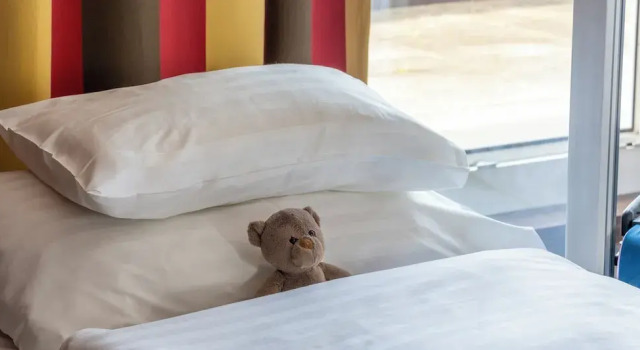 Трёхместный номер Standard PLAZA INN Graz City