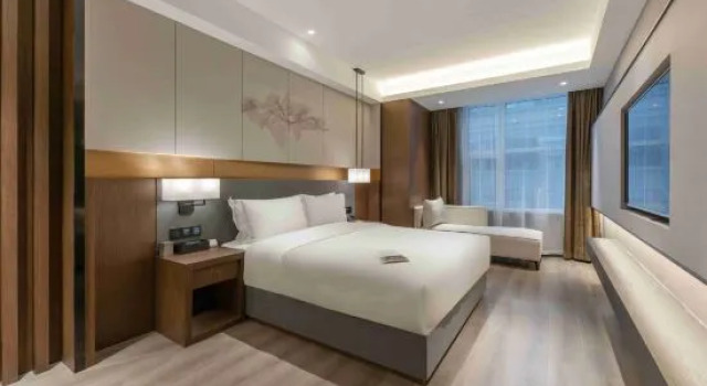 Люкс Executive The GiorgioMorandi Hotels (Lanling)