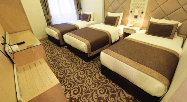 Трёхместный номер Standard Alpinn Hotel Istanbul