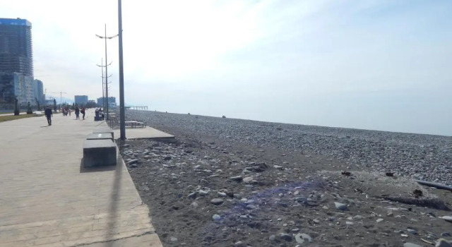 Апартаменты Batumi apartment in front of Sheraton