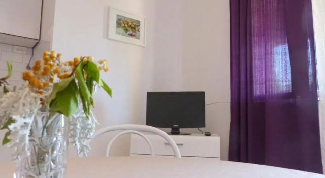 Apartment Marica