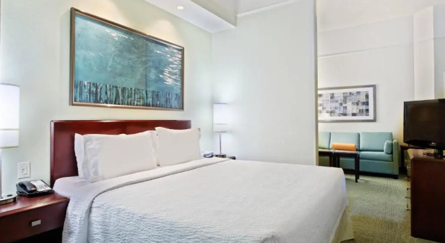 Люкс SpringHill Suites Knoxville At Turkey Creek