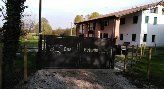 Agriturismo Oasi Bettella, Prenota Hotel Hotel a Veneto con parcheggio, Parcheggio