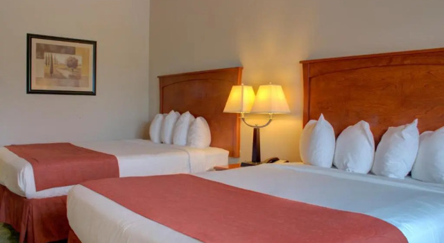 Deluxe firedobbelt værelse Allington Inn & Suites