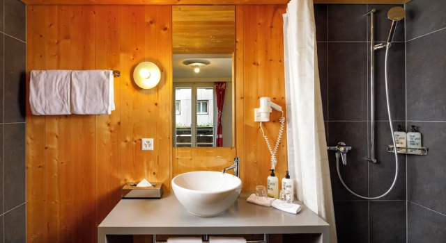 Трёхместный номер Economy Hotel Hirschen Wildhaus