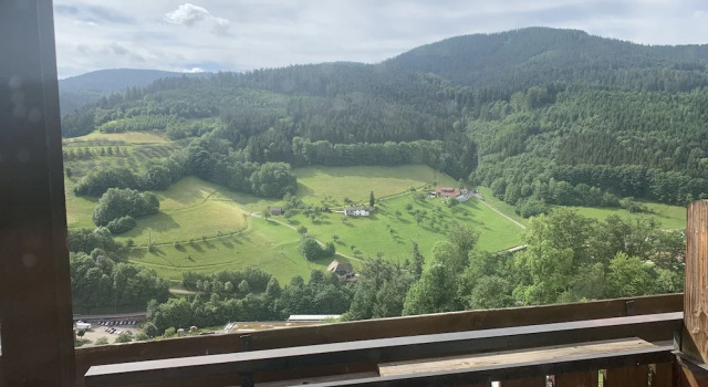 Одноместный номер Standard с балконом Hotel Schauinsland