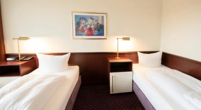 Двухместный номер Economy HOTEL IM PARK