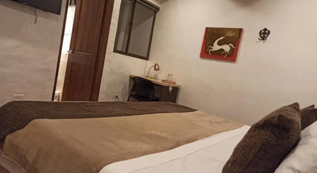 Двухместный номер Standard HOTEL LA POSADA DEL ZAGUÁN