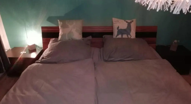 Апартаменты HarzHirsch Bad Sachsa Ferienwohnung