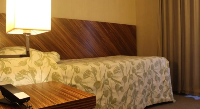 Одноместный номер MH Hotel Piacenza Fiera
