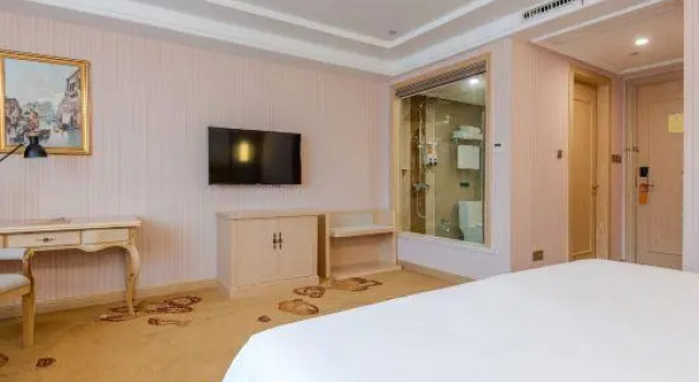 Vienna International Hotel (Chizhou High-speed Railway Station)