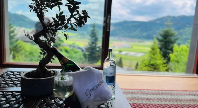 Апартаменты Graceland In the Black Forest