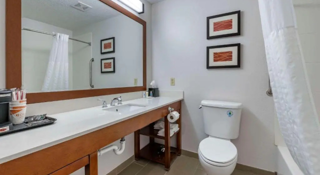 Люкс Comfort Inn Plainfield - Indianapolis Airport