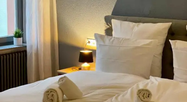 Номер Deluxe Hotel & Restaurant Grüner Baum Merzhausen
