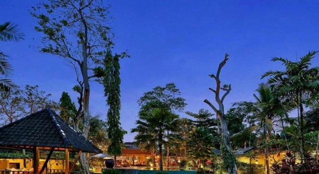 Двухместный номер Deluxe Y Resort Ubud