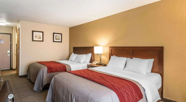 Четырёхместный номер Standard Quality Inn & Suites Bethany