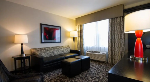 Студия Hampton Inn and Suites Roanoke Airport/Valley View Mall