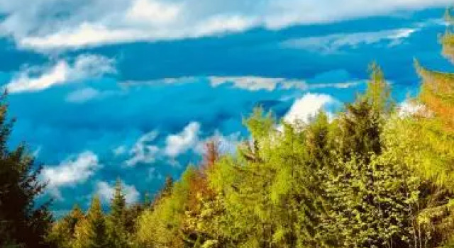 Berggastatätte Brandenkopf, Reserva ahora Hotel Hoteles en Baden-Wurtemberg con aparcamiento, Aparcamiento