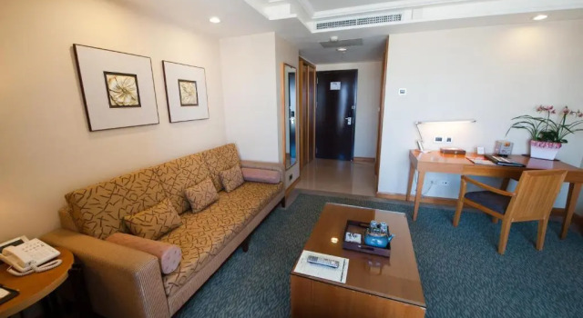 Люкс Business Nice Prince Hotel