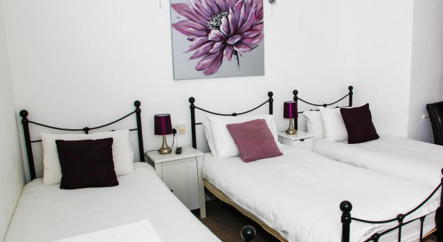 Трёхместный номер Standard Mayview Guest House