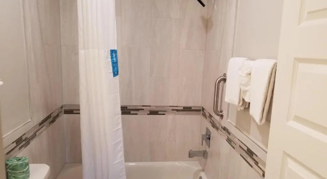 Двухместный номер Standard Palace Inn Blue Tomball Parkway