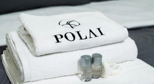 Апартаменты Polai Center Apartments