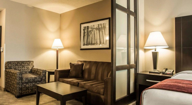 Двухместный люкс Comfort Suites Huntersville near Lake Norman