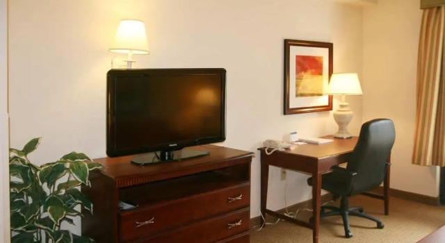 Номер Standard Hampton Inn & Suites Alpharetta Roswell