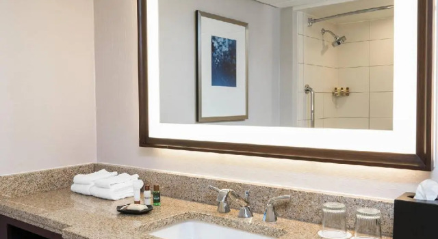 Standard Doppel Zimmer Sheraton Memphis Downtown Hotel