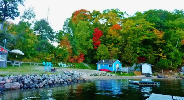 Номер Standard Silver Springs Cottage Resort