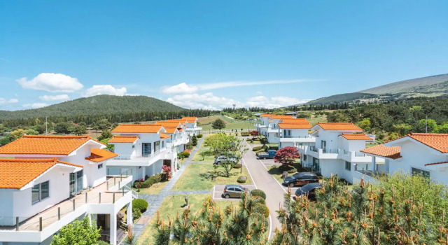 Кровать в общем номере Amber Resort Jeju